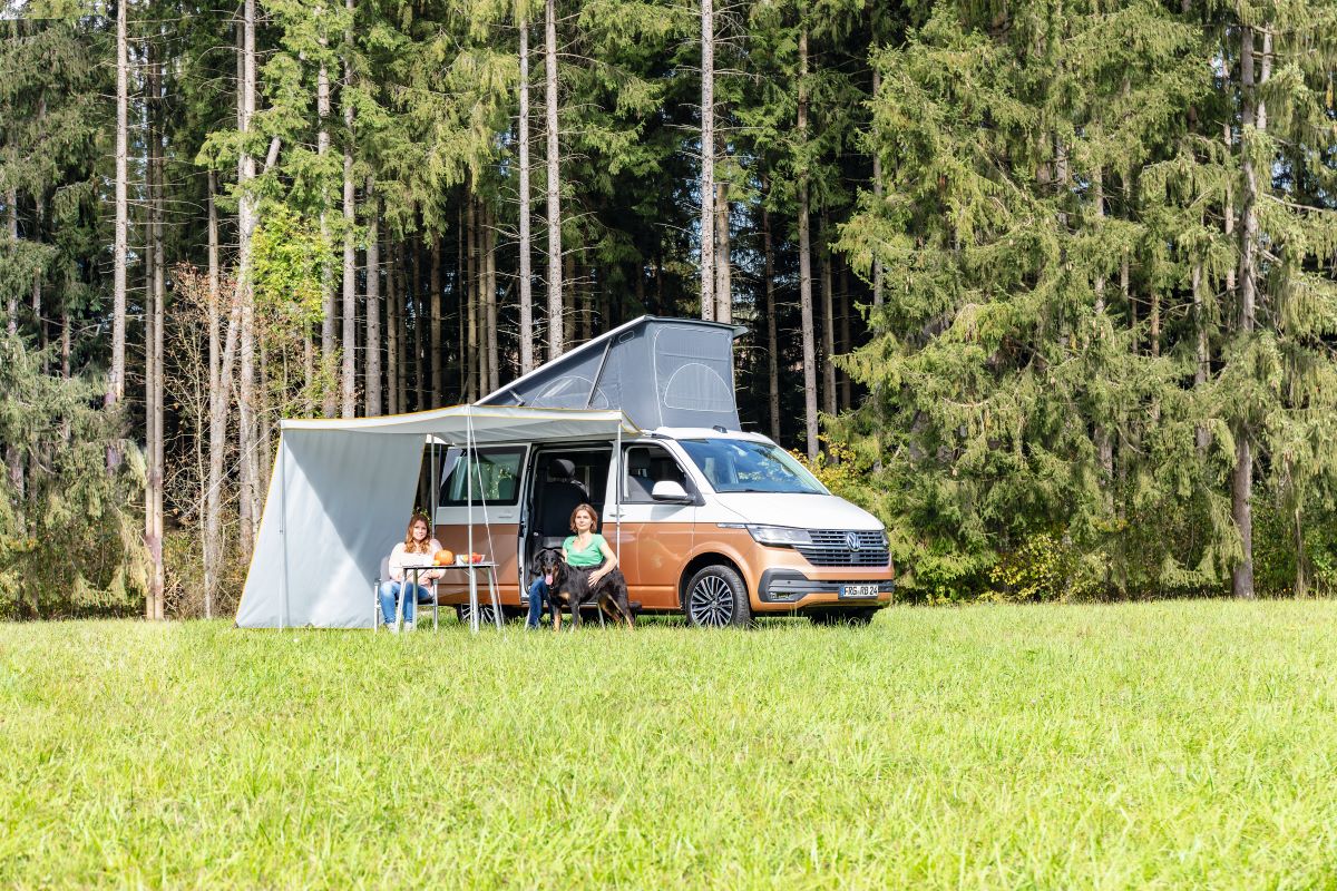 Walter Schneider Onlineshop